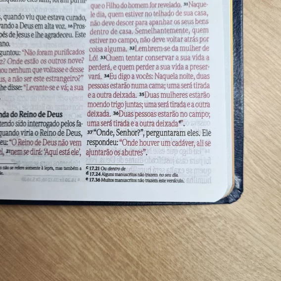 Bíblia NVI Azul Letra Grande