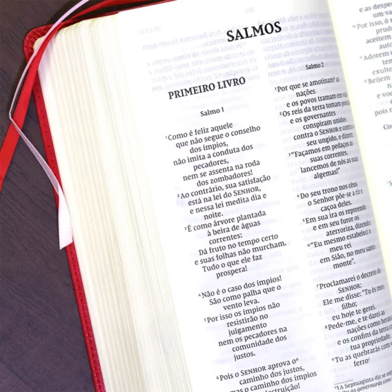 Bíblia NVI Capa Soft Rosado