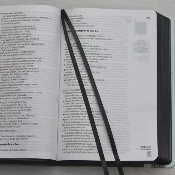 Bíblia NTLH YouVersion Cerejeira Branca Biblia Biblia Bíblia NTLH YouVersion Cerejeira Branca